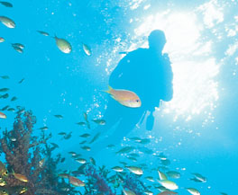 open water and advanced open water training, rescue training, dive master training, specialty courses training, diving instructor training