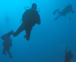 open water and advanced open water training, rescue training, dive master training, specialty courses training, diving instructor training